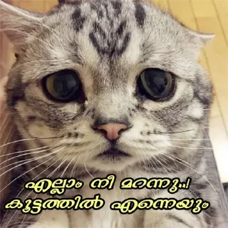 😓 emoji [ @S_i_Bi & @meghaloo ] Telegram sticker 12 of 80
