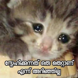 🥺 emoji [ @S_i_Bi & @meghaloo ] Telegram sticker 6 of 80