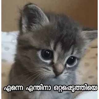😒 emoji [ @S_i_Bi & @meghaloo ] Telegram sticker 19 of 80