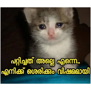 😢 emoji [ @S_i_Bi & @meghaloo ] Telegram sticker 8 of 80