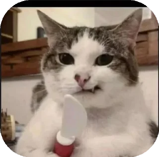 Sticker from Funny Animals ★