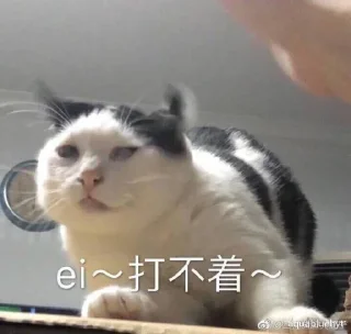 🤨 emoji 素材🌸 ᐃ优质素材🌸 @Sucai000 Telegram sticker 7 of 36