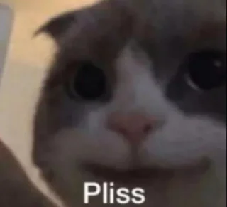 🥺 emoji Jia's mood @eyRothy Telegram sticker 18 of 73