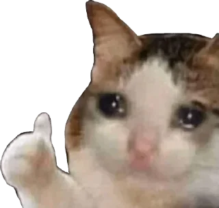 👍 emoji @Chat_Universe_lN — @stckrRobot Telegram sticker 19 of 120