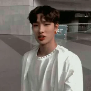 🦒 emoji mingi ateez @lelekriuk Telegram sticker 24 of 60