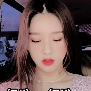 🥢 emoji jeon heejin ⋆ @discneuy Telegram sticker 23 of 40