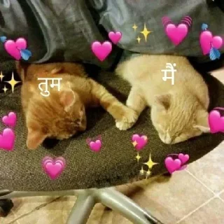🥰 emoji Meow @Dont_Dm Telegram sticker 20 of 120