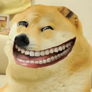 🤣 emoji My 5th pack @dont_dm Telegram sticker 17 of 38