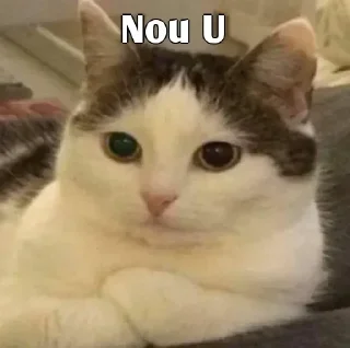 👀 emoji @Loid_thakur Cats ❤️ Telegram sticker 1 of 55