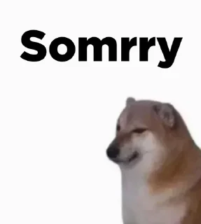 🙏 emoji Dogesh fodu — @stckrRobot Telegram sticker 16 of 100