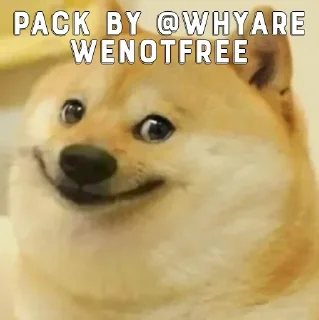 Sticker from @whyarewenotfree's kang pack Vol.2