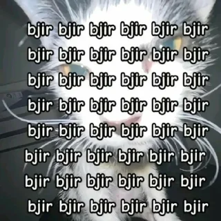 🤨 emoji bjir Telegram sticker 7 of 83