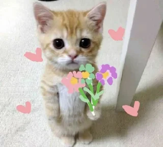 💐 emoji bjir Telegram sticker 20 of 83