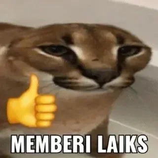 👍 emoji ngokk @Azlrsvyn Telegram sticker 24 of 75