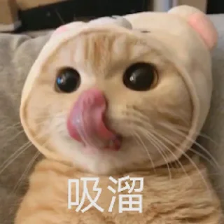👅 emoji 🐸自用 Telegram sticker 21 of 22