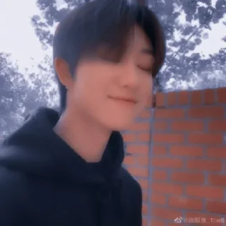 🐸 emoji Xu Minghao Packs!—🐸💫 @O97THERYE Telegram sticker 13 of 28