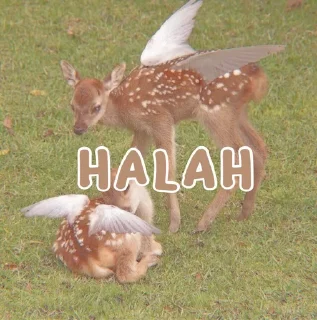 ❤️ emoji Misuh Aesthetic Telegram sticker 11 of 29