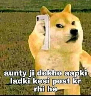 😂 emoji Bhaiya ji ke stickers Telegram sticker 17 of 50