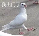 🐦 emoji 咕咕咕pack Telegram sticker 10 of 36