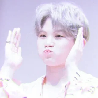 🥧 emoji WOOZI by @ONEWOO96 Telegram sticker 21 of 25