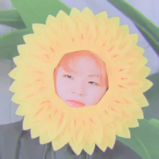 🥧 emoji WOOZI by @ONEWOO96 Telegram sticker 22 of 25