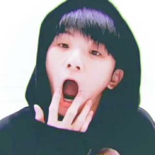 🥧 emoji WOOZI by @ONEWOO96 Telegram sticker 24 of 25