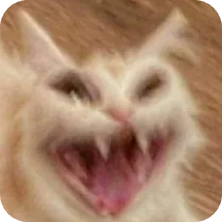 🐱 emoji Pussy* Telegram sticker 15 of 26