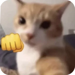 🐱 emoji Pussy* Telegram sticker 20 of 26