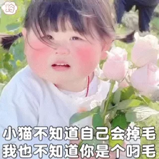 Sticker from SAL摇六摇小肉丸 @BeiMiaoYa