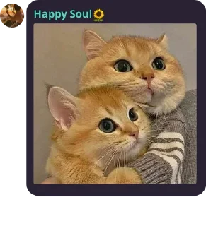 Sticker from Happy Soul 🌻