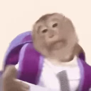 🐵 emoji 吗喽表情包 @Katak66 Telegram sticker 15 of 50
