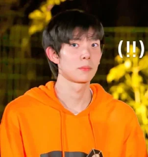 Sticker from Enhypen Memes