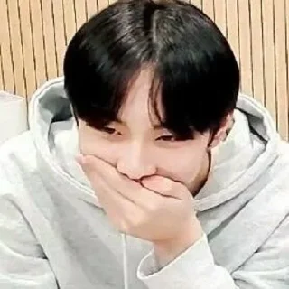😂 emoji Enhypen Jungwon memes Telegram sticker 13 of 85