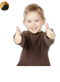 👍 emoji Chauhan Vmro Telegram sticker 6 of 120