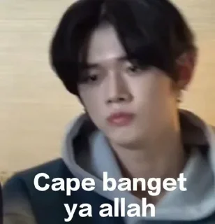 😔 emoji KPop meme by @cntviazyx Telegram sticker 1 of 37