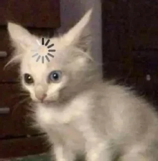 🐈 emoji ㅤㅤ @Fckmne ✧ @OLDLlBRARY Telegram sticker 9 of 55