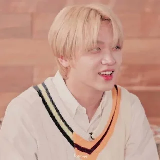 🐧 emoji HHAECHAN V.1 @leviosastory Telegram sticker 16 of 56