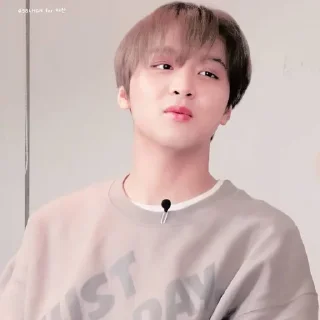 🐧 emoji HHAECHAN V.1 @leviosastory Telegram sticker 9 of 56