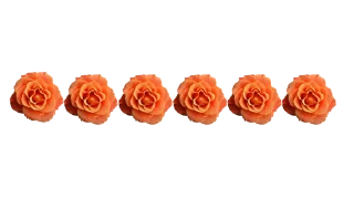 🏵️ emoji @MyTelegramThemes ofc Telegram sticker 7 of 35