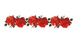 🌹 emoji @MyTelegramThemes ofc Telegram sticker 8 of 35