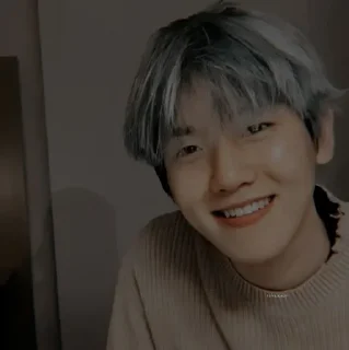 ☠ emoji baekhyun @xrffa Telegram sticker 12 of 120