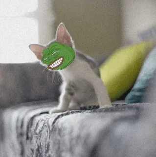 🦖 emoji ᴵᴬᴹ𝚄𝙽𝙺𝙾𝚆𝙽❥'s stic-pack (@Kurisu_Makise_robot) 1 Telegram sticker 12 of 120