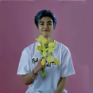 🪁 emoji Jaemin nct dark by @PRINCEJISUNG Telegram sticker 15 of 55