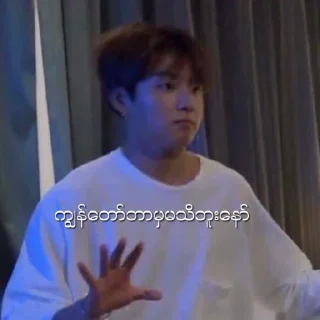 🧐 emoji BTS memes Myanmar Telegram sticker 6 of 60