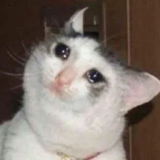 🐾 emoji Crying Cat @Grup_Anime_Chat Telegram sticker 20 of 63
