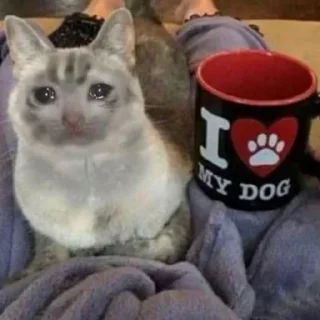 🐾 emoji Crying Cat @Grup_Anime_Chat Telegram sticker 19 of 63