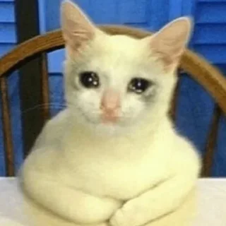 🐾 emoji Crying Cat @Grup_Anime_Chat Telegram sticker 17 of 63