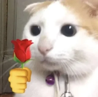 🌹 emoji halo dek Telegram sticker 7 of 7