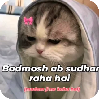 🐱 emoji @piyushsharma_007 Telegram sticker 16 of 59