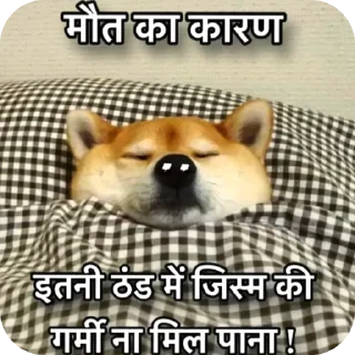 🐶 emoji @piyushsharma_007 Telegram sticker 22 of 59